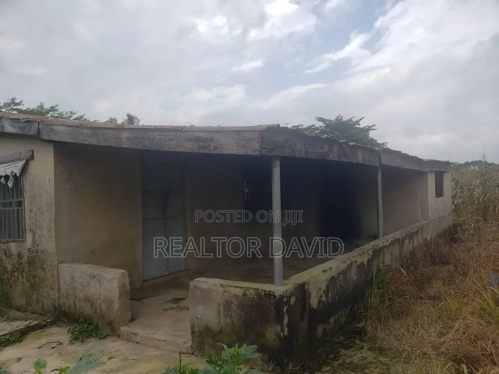 3 Hectares of Prime Land