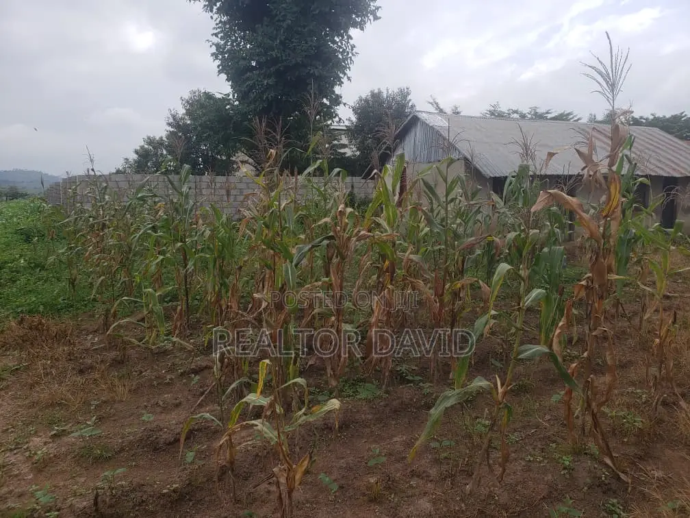 3 Hectares of Prime Land