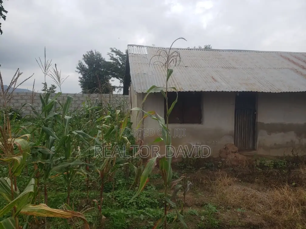 3 Hectares of Prime Land
