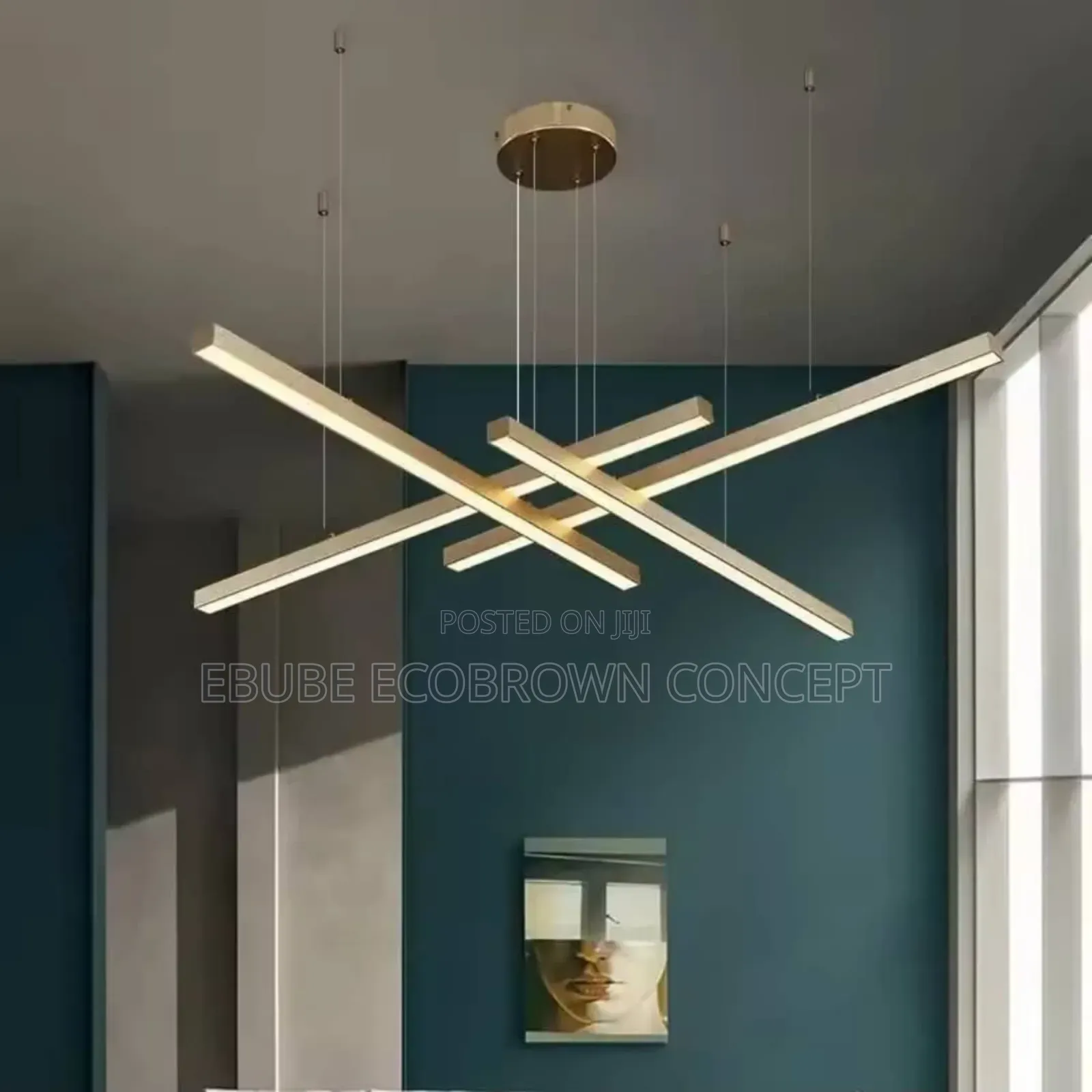 Ceiling Fitting Lamp Light