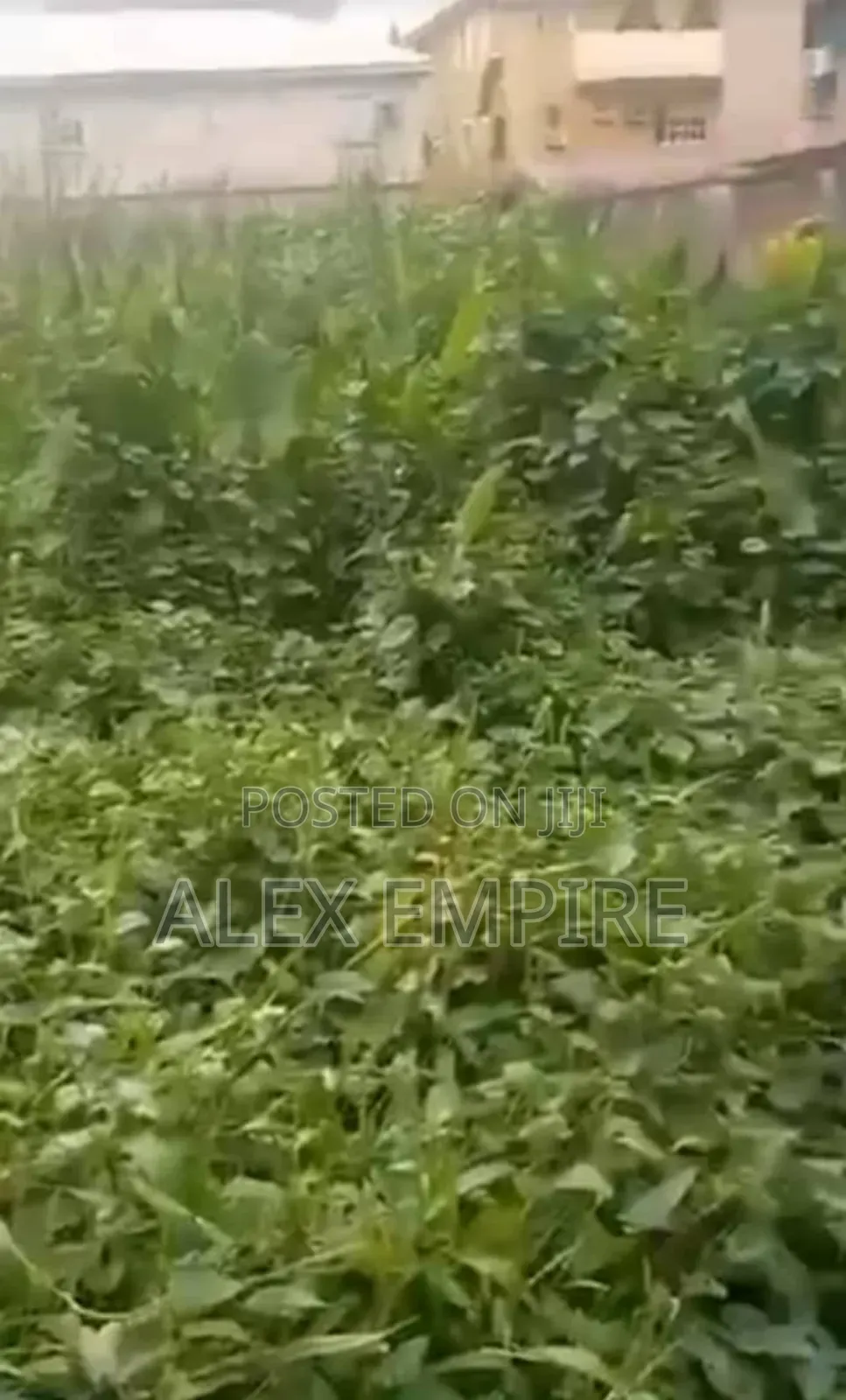 Half Plot of Land for Sale in Ago