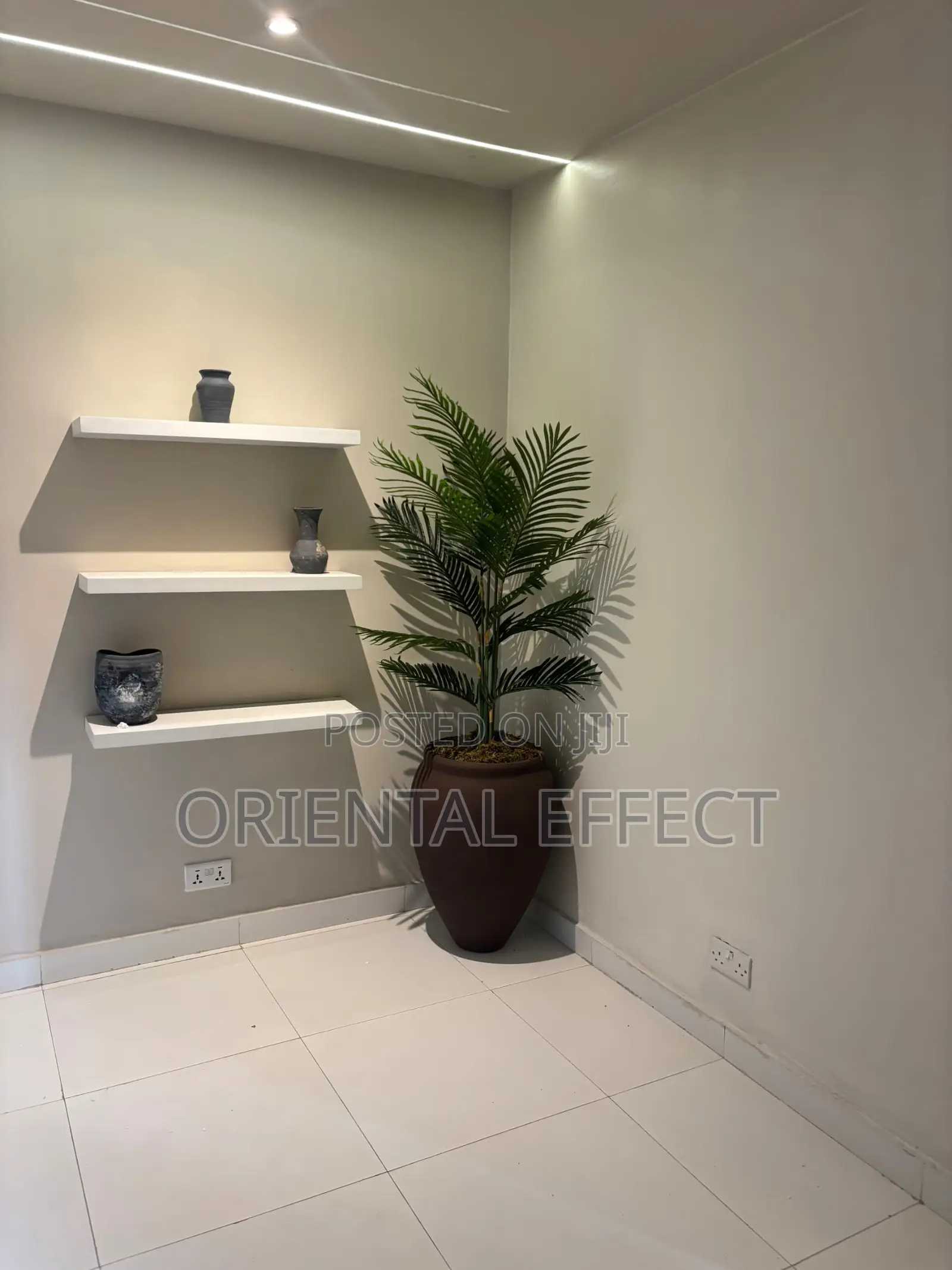 Mocha Brown Lake Planter With Riverside Palm | Tropical Home Decor