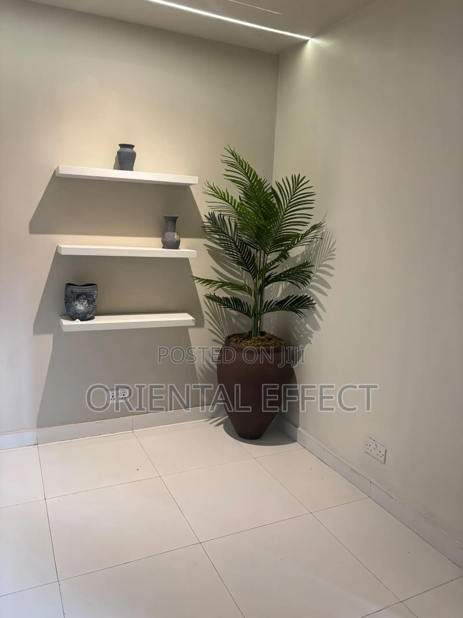 Mocha Brown Lake Planter With Riverside Palm | Tropical Home Decor