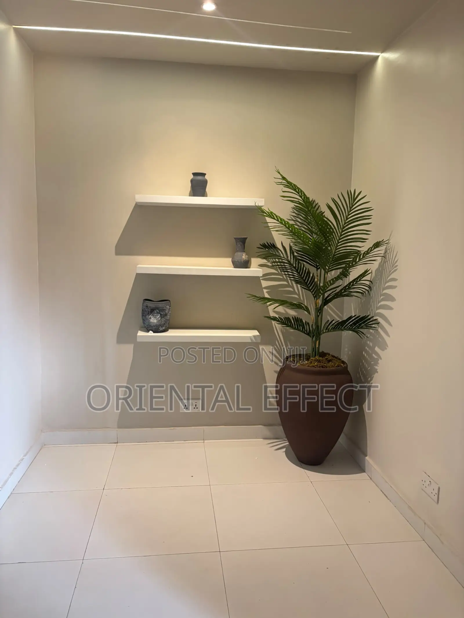 Mocha Brown Lake Planter With Riverside Palm | Tropical Home Decor