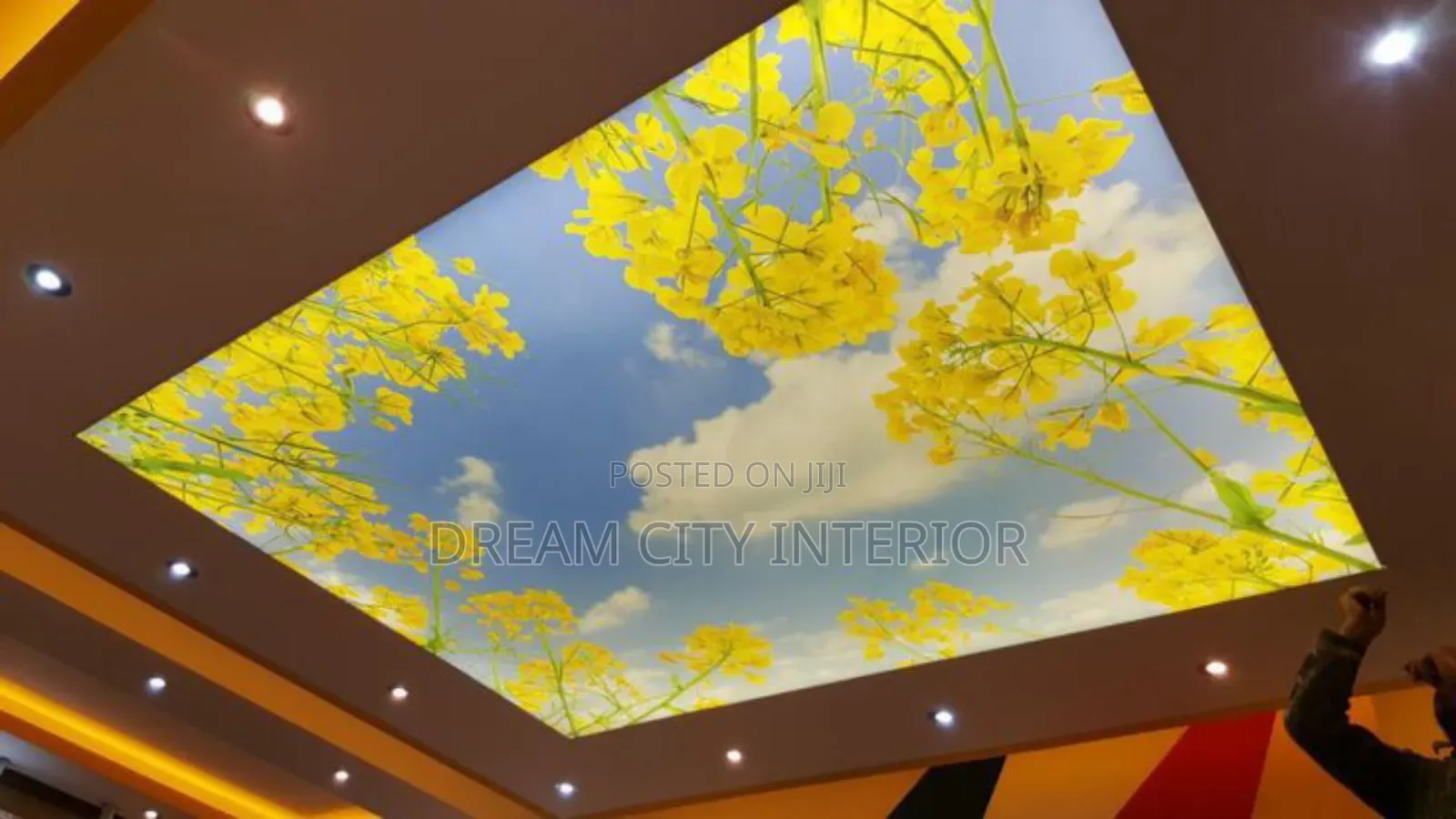 Stretch Ceiling Designs