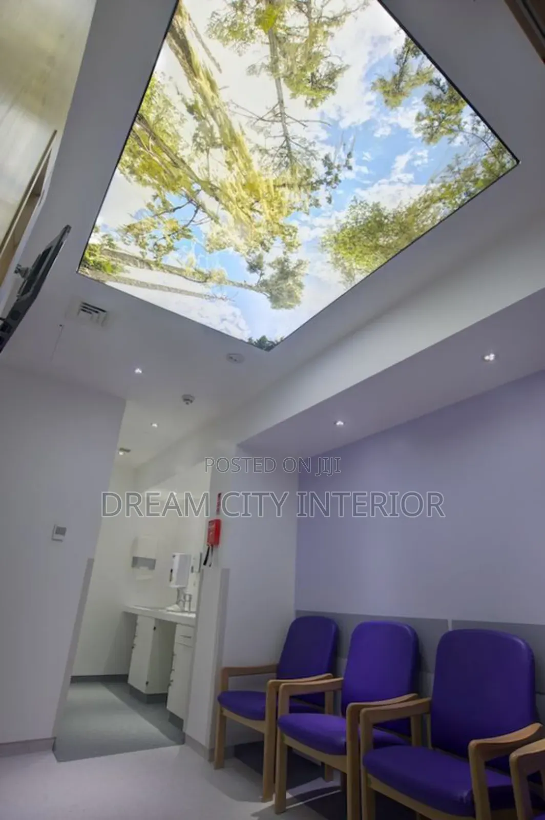 Stretch Ceiling Designs