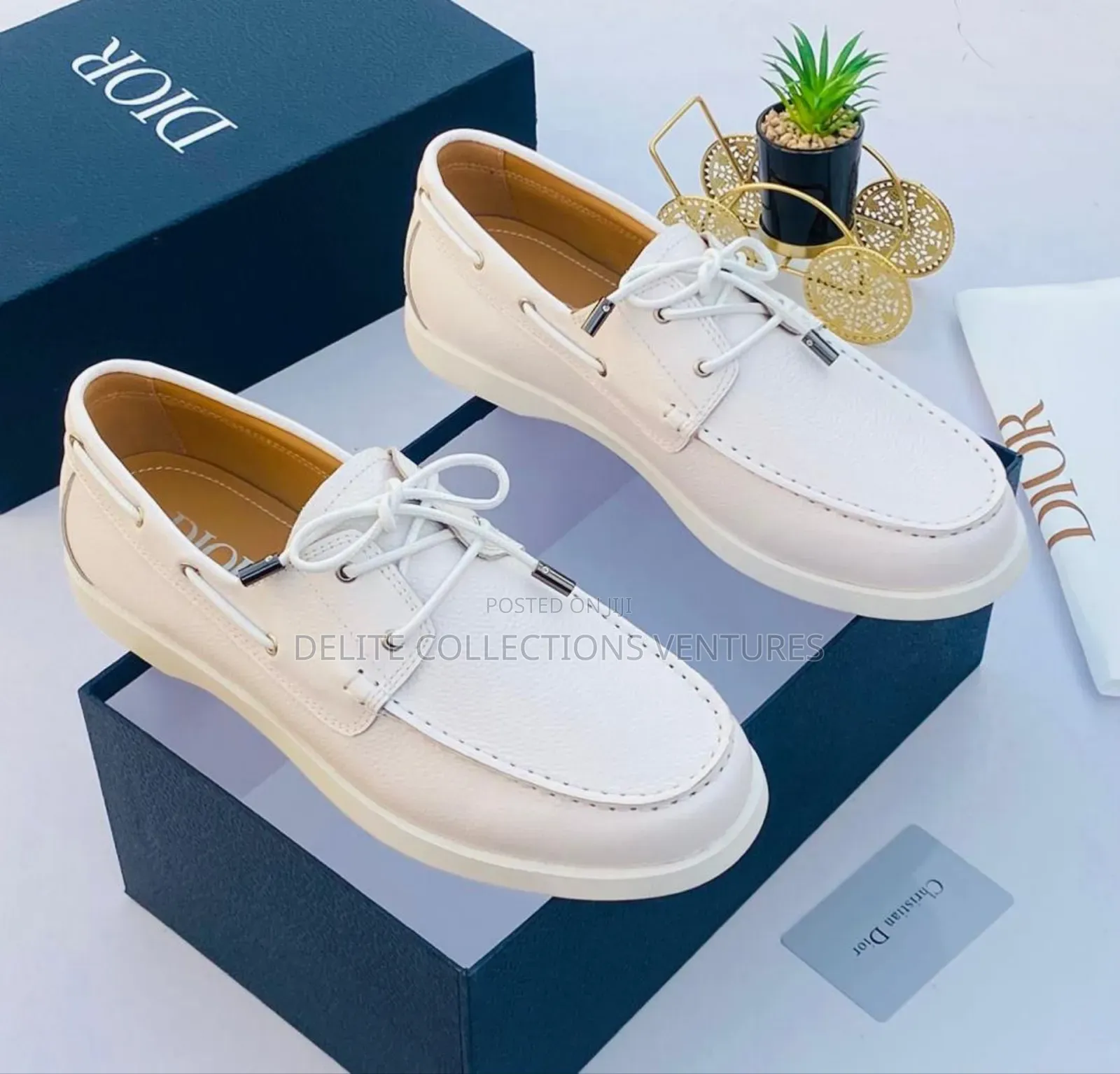 2026 Dior Update Available