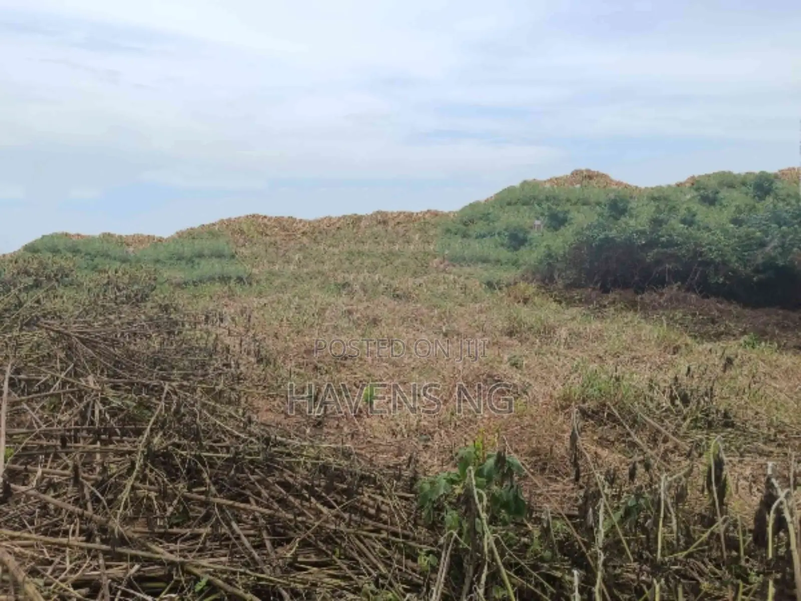 Land For Sale – Ibeju-lekki