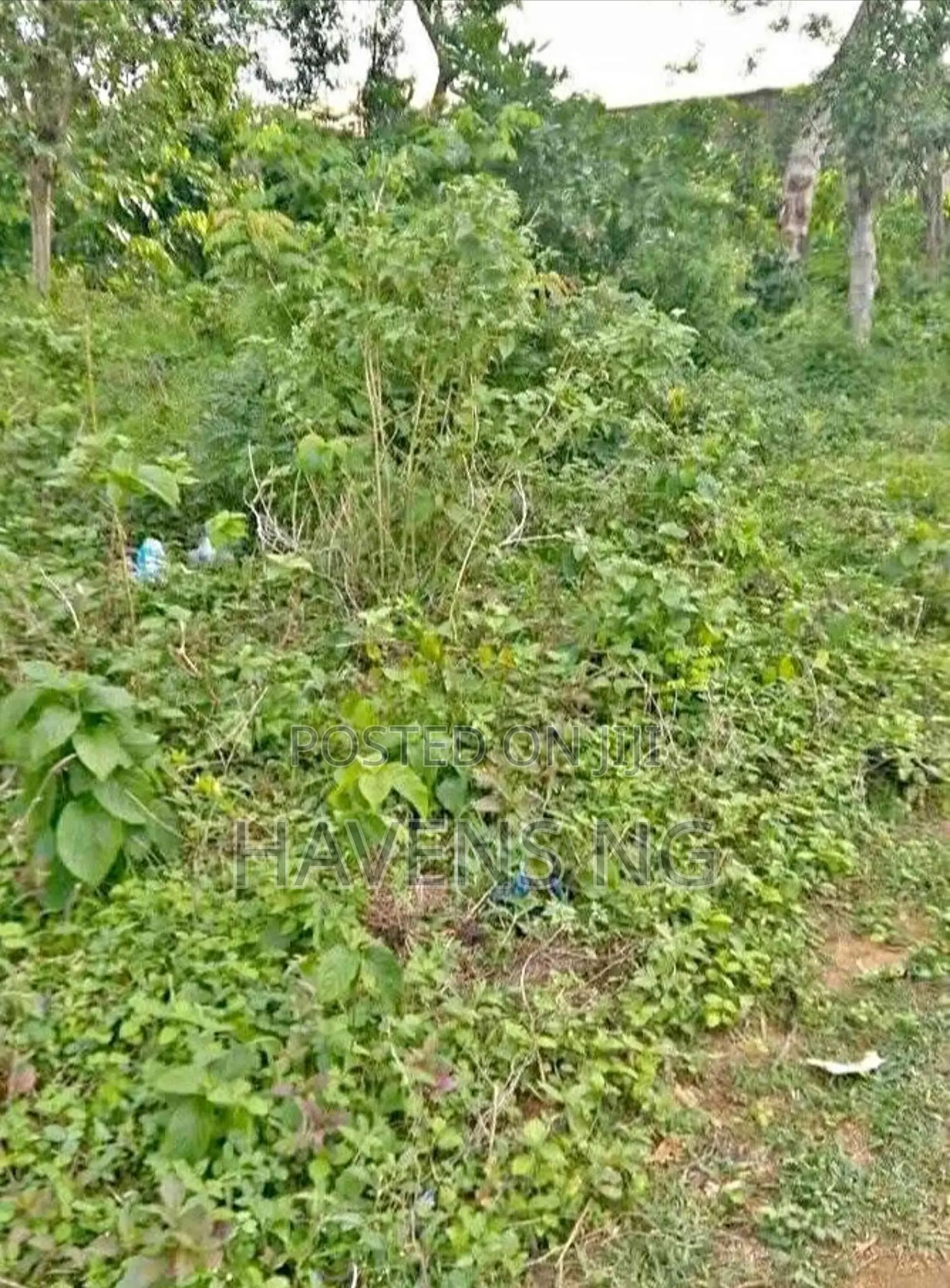 For Sale: 1 Acre of Land