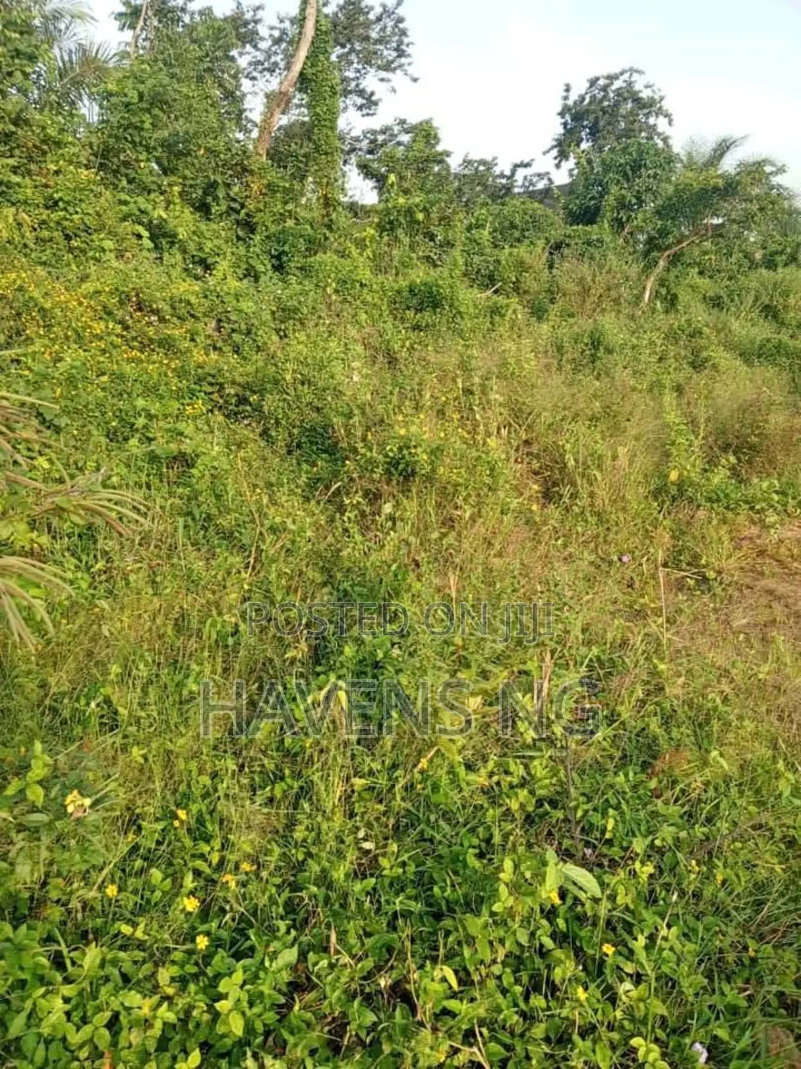 For Sale: 1 Acre of Land