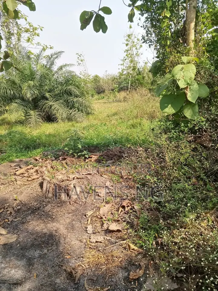 Acres of Land for Sale in Ibadan