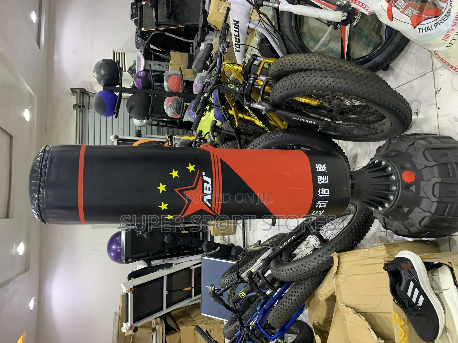 Standing Punching Bag