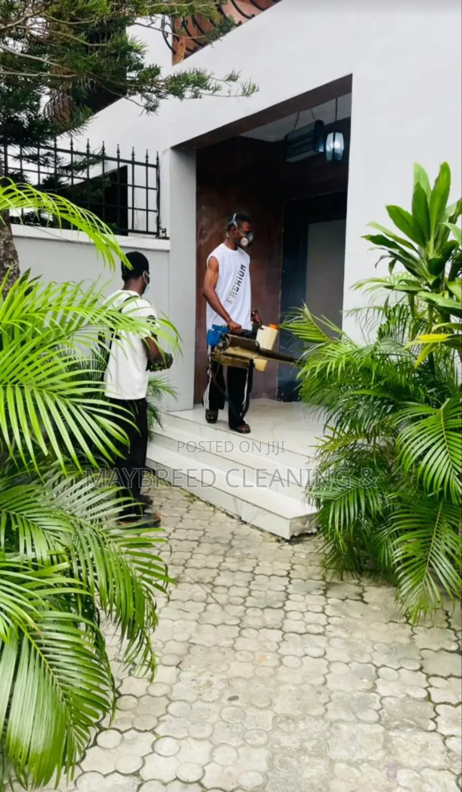 Fog/Gas Fumigation Top Quality Service