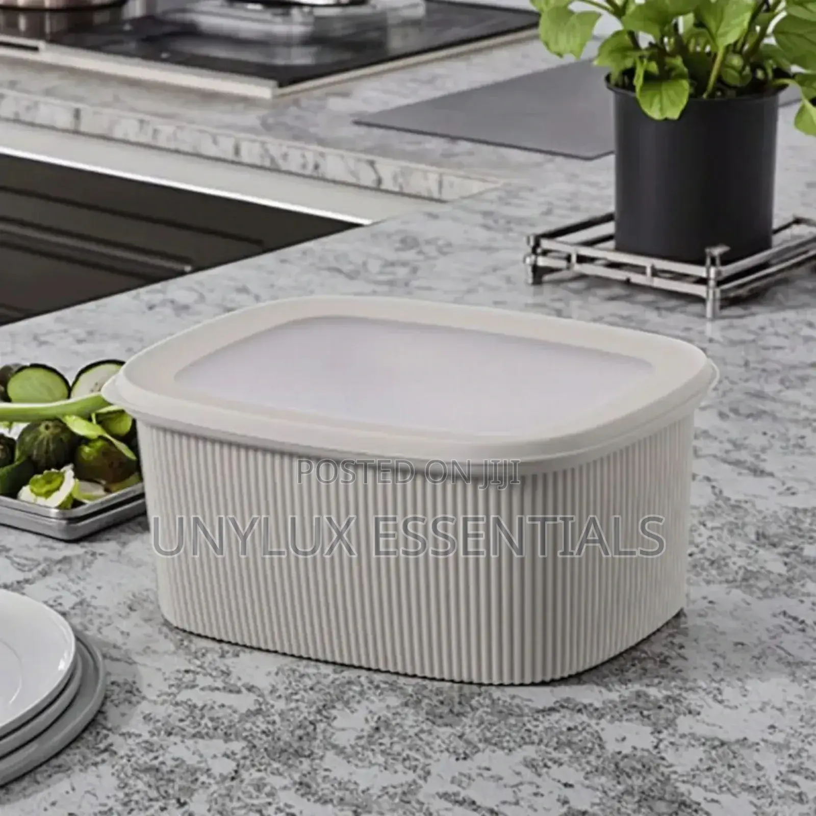 4pcs Rectangular Food Storage Container