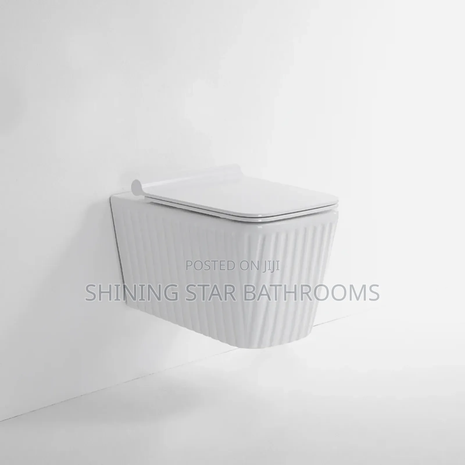 Executive White Conceal Toilet Set