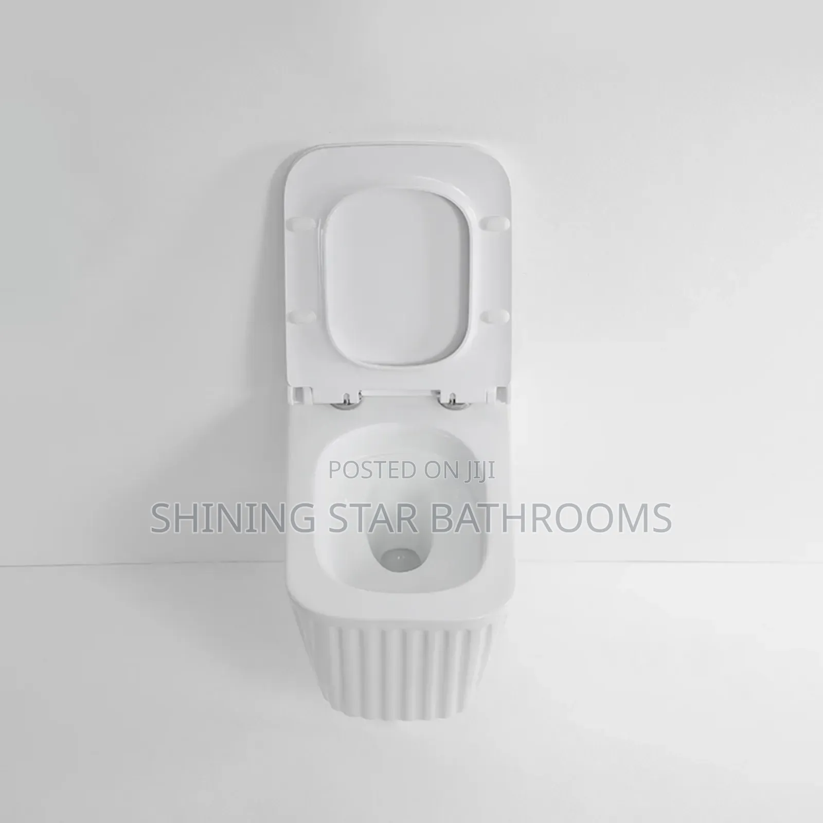 Executive White Conceal Toilet Set