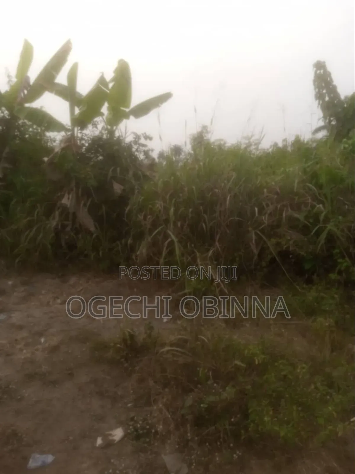 Distress Sale of Sharp Buy and Build One Plot at Chokocho Etche