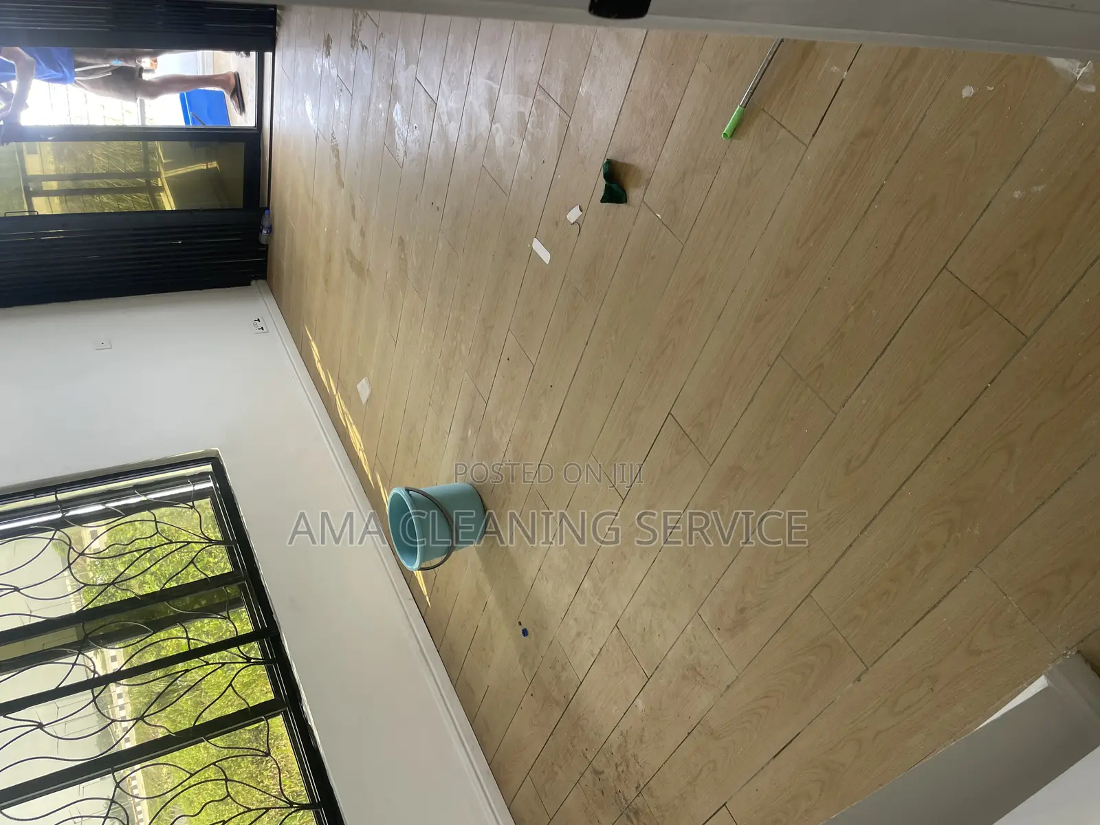 Professional Cleaning Services