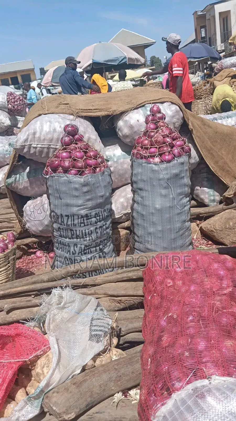 Dried Onions
