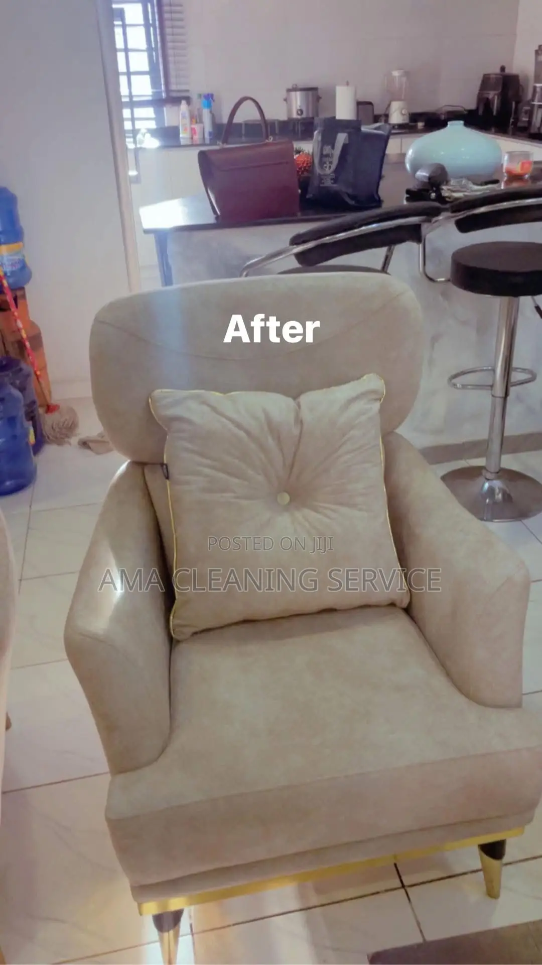 Upholstery Cleaning Service