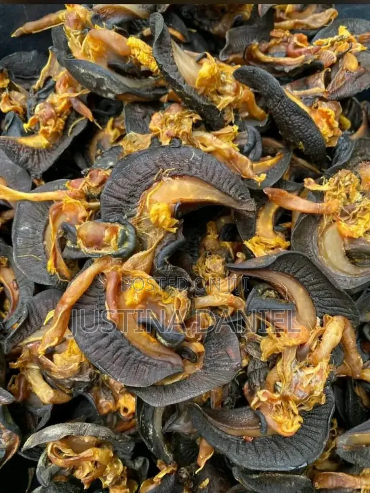 Export Standard Oven Dried Snails for Sale