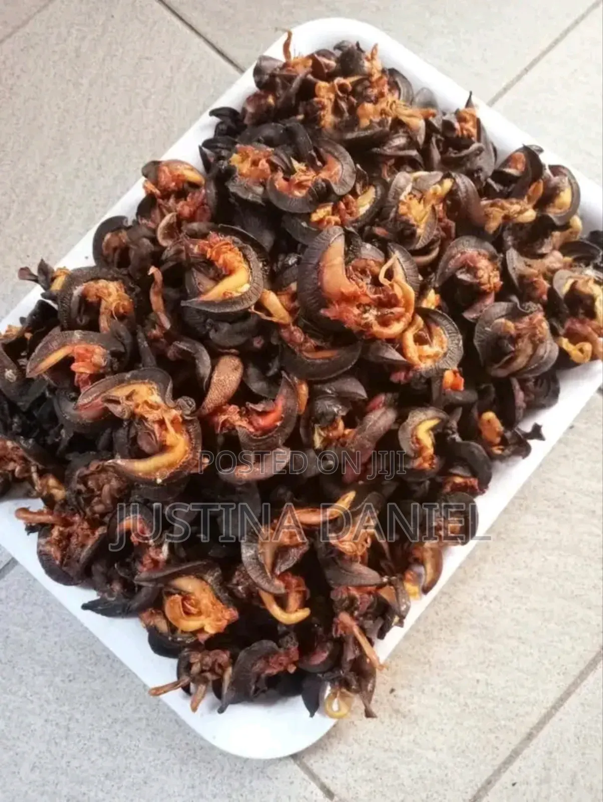 Export Standard Oven Dried Snails for Sale