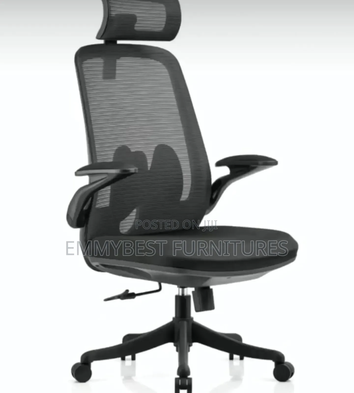 Ergonomic Office Chair.