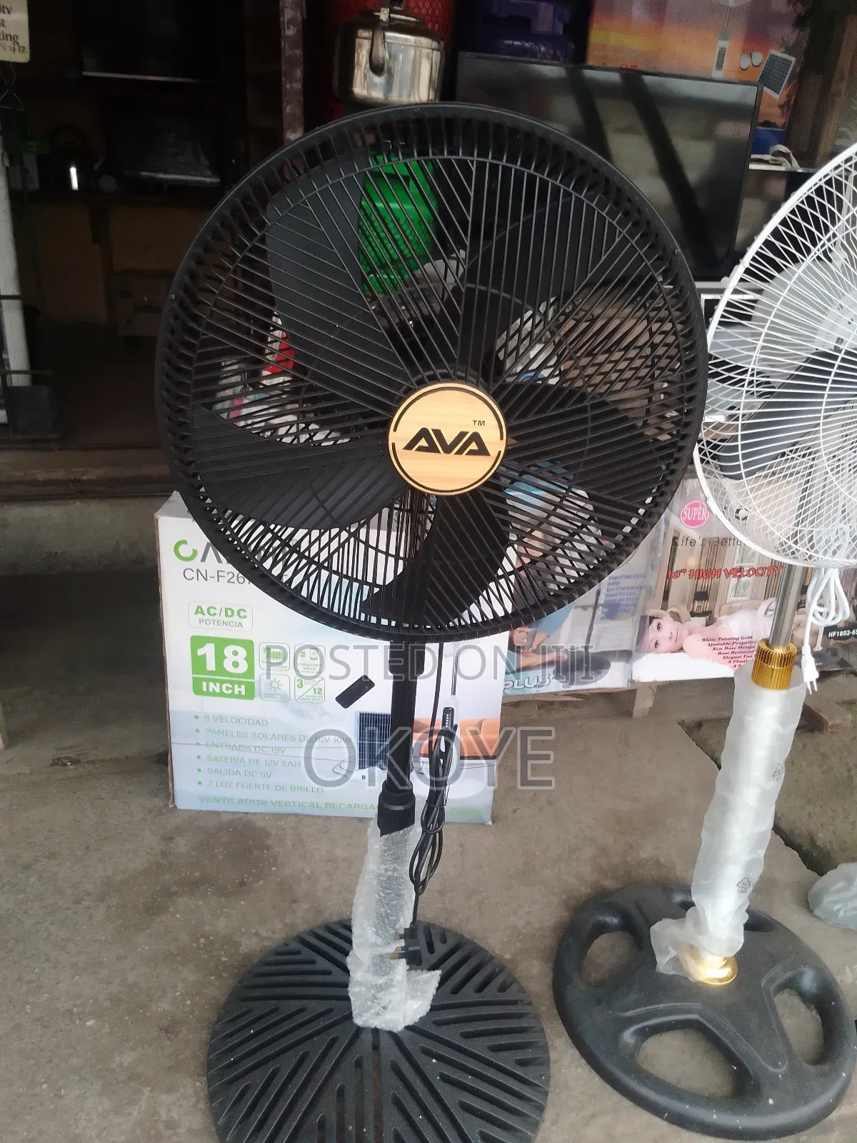 Standing Fan Ava Ox
