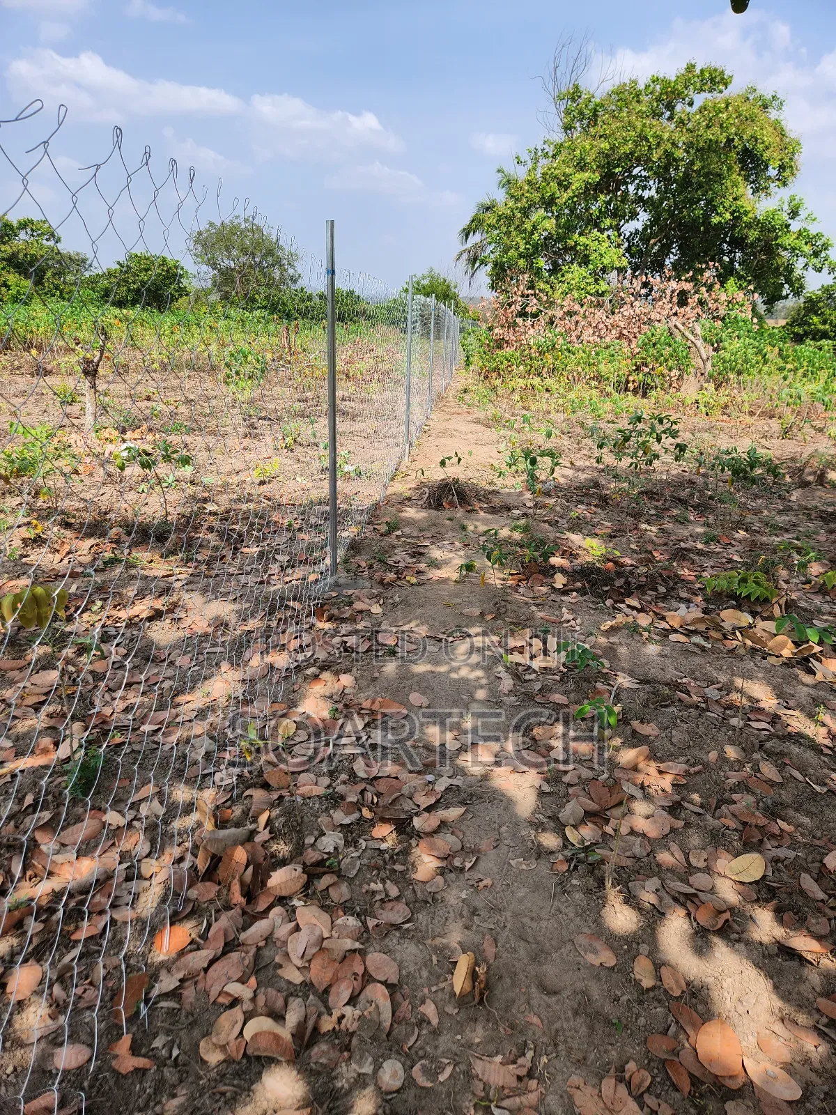 Chain Link Farm Fencing
