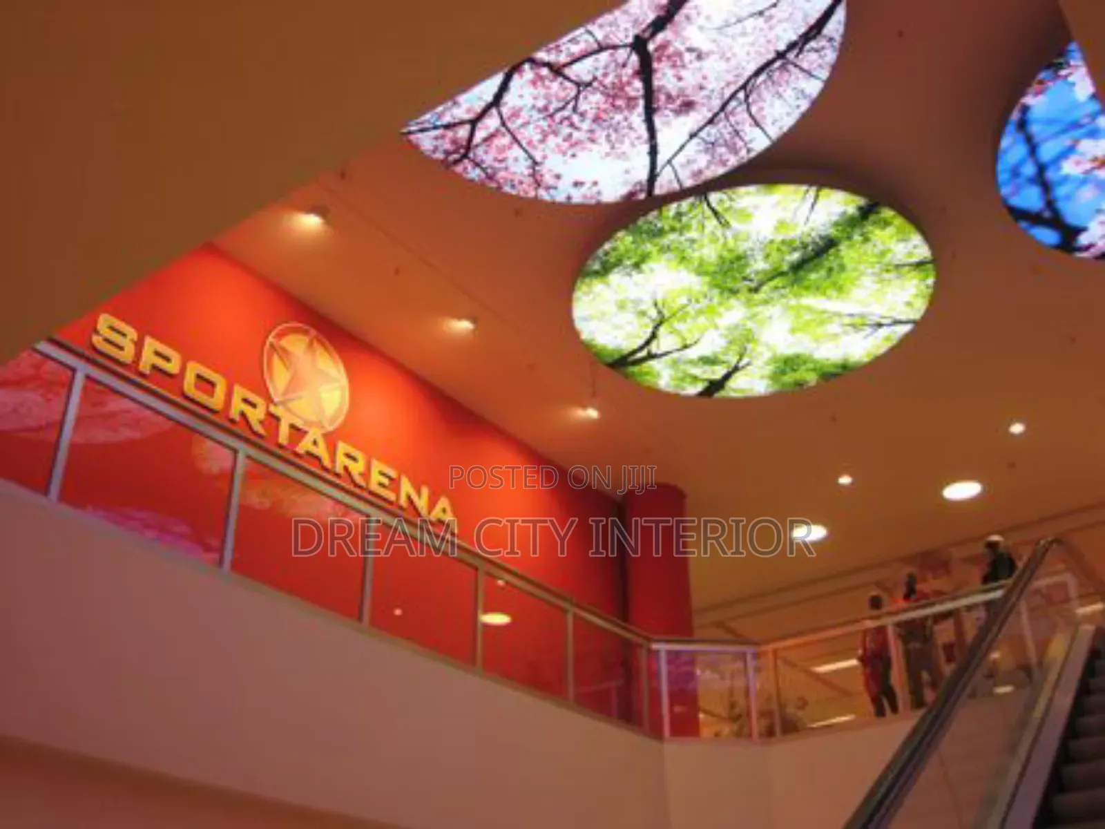 3d Stretch Ceiling