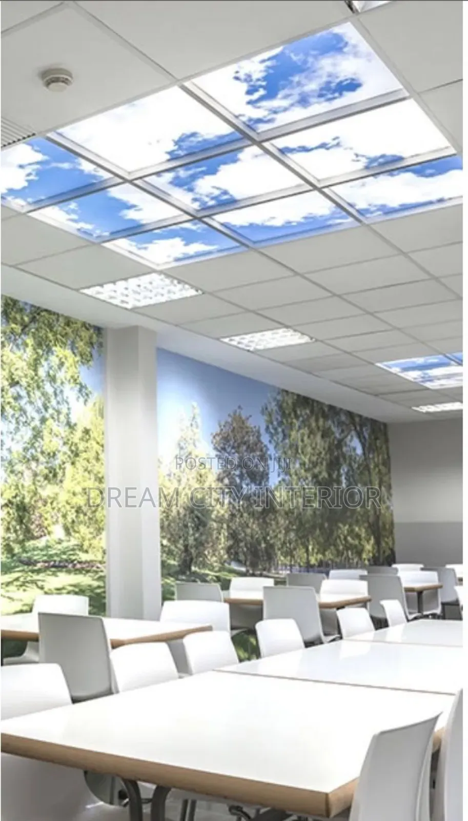 3d Stretch Ceiling
