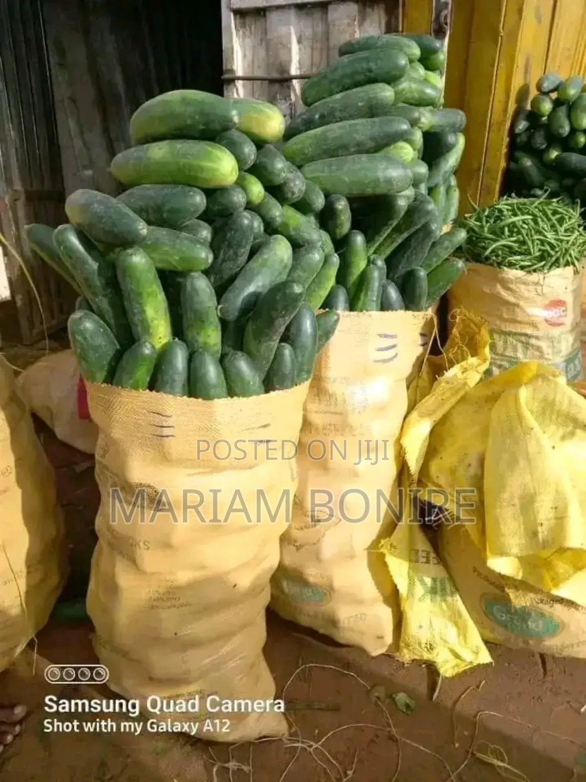 Fresh Cucumber