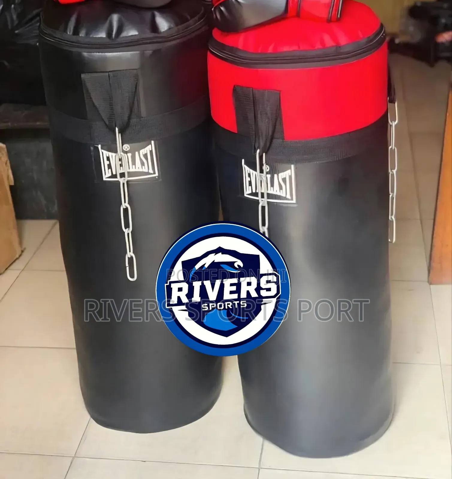 Everlast Punching Boxing Bag