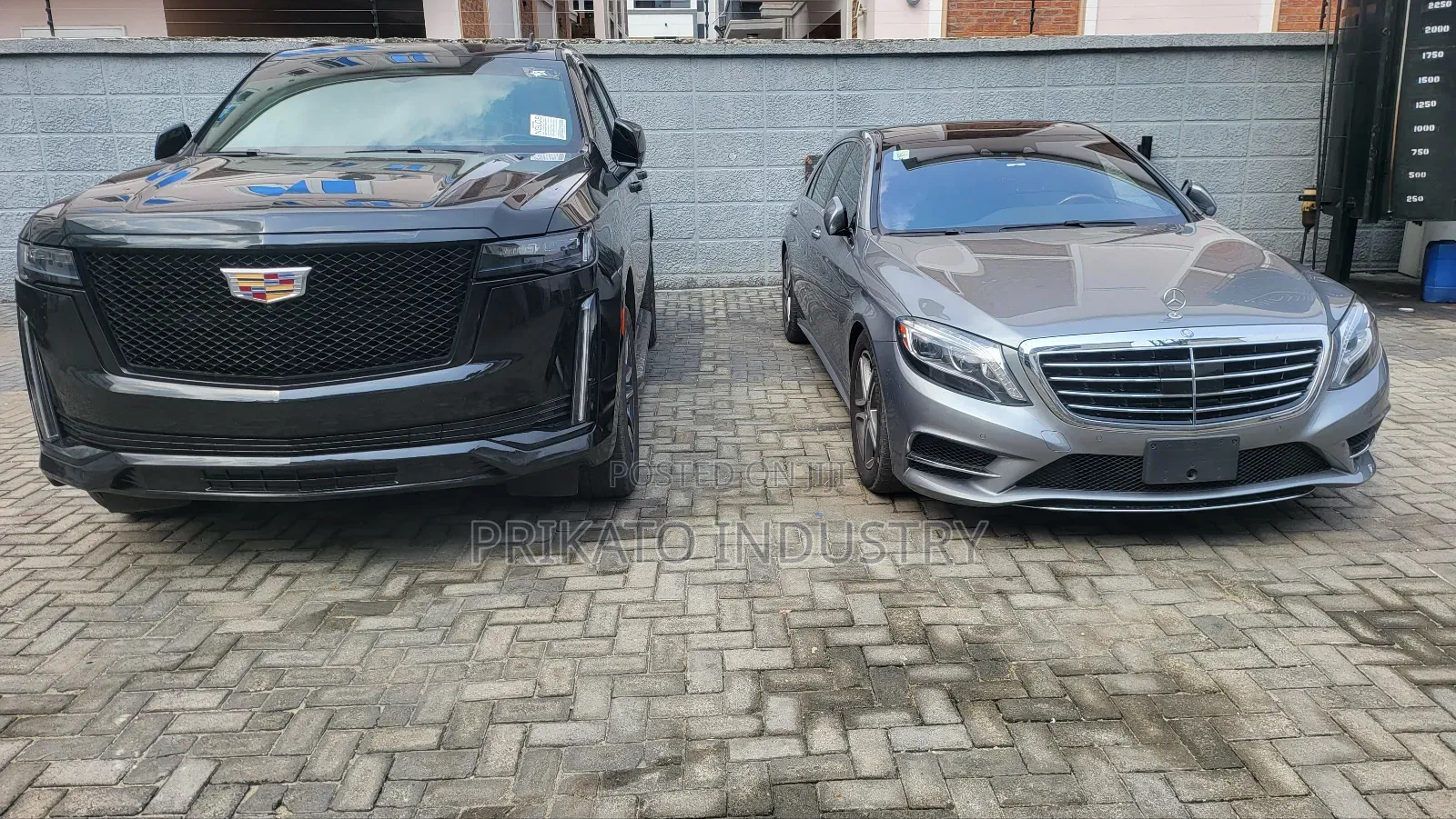 Escalade 2024 for Hire