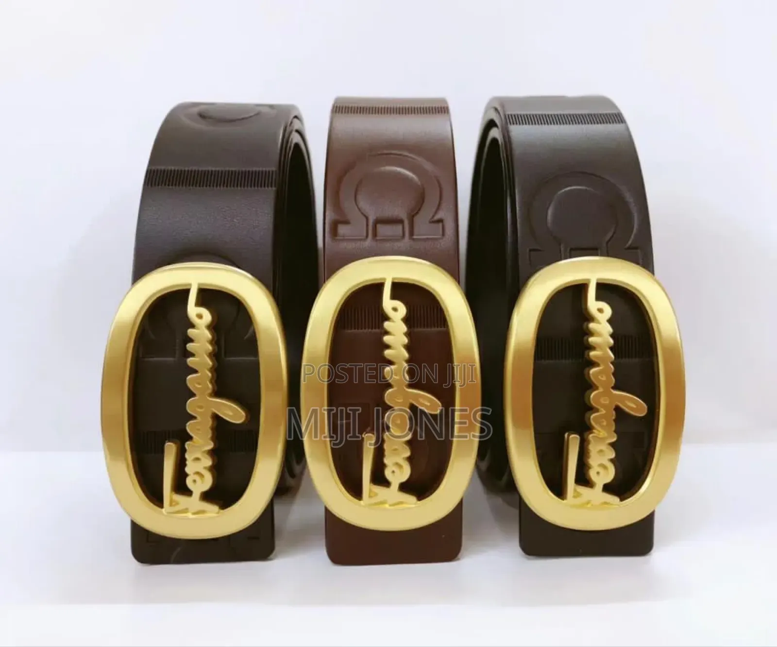 *Salvatore Ferragamo  Leather Belt – Classic Style, Luxe Look*