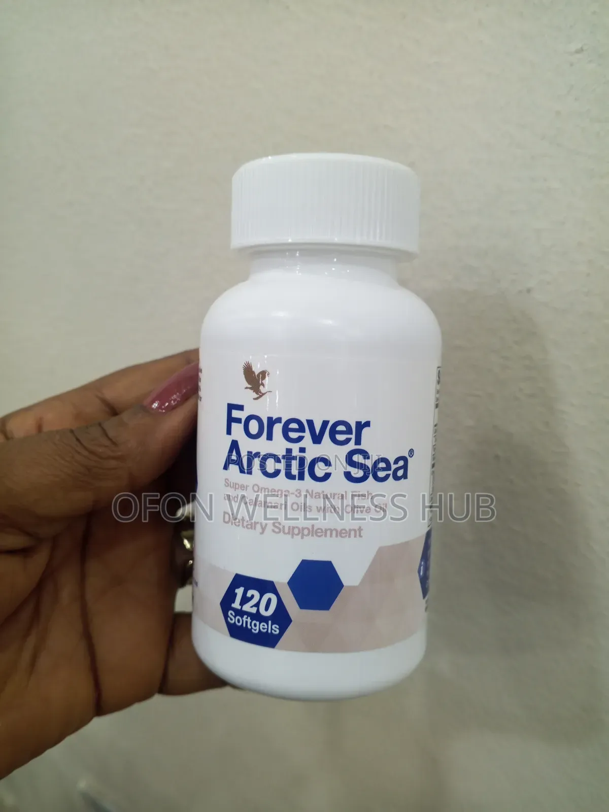 Forever Artic Sea