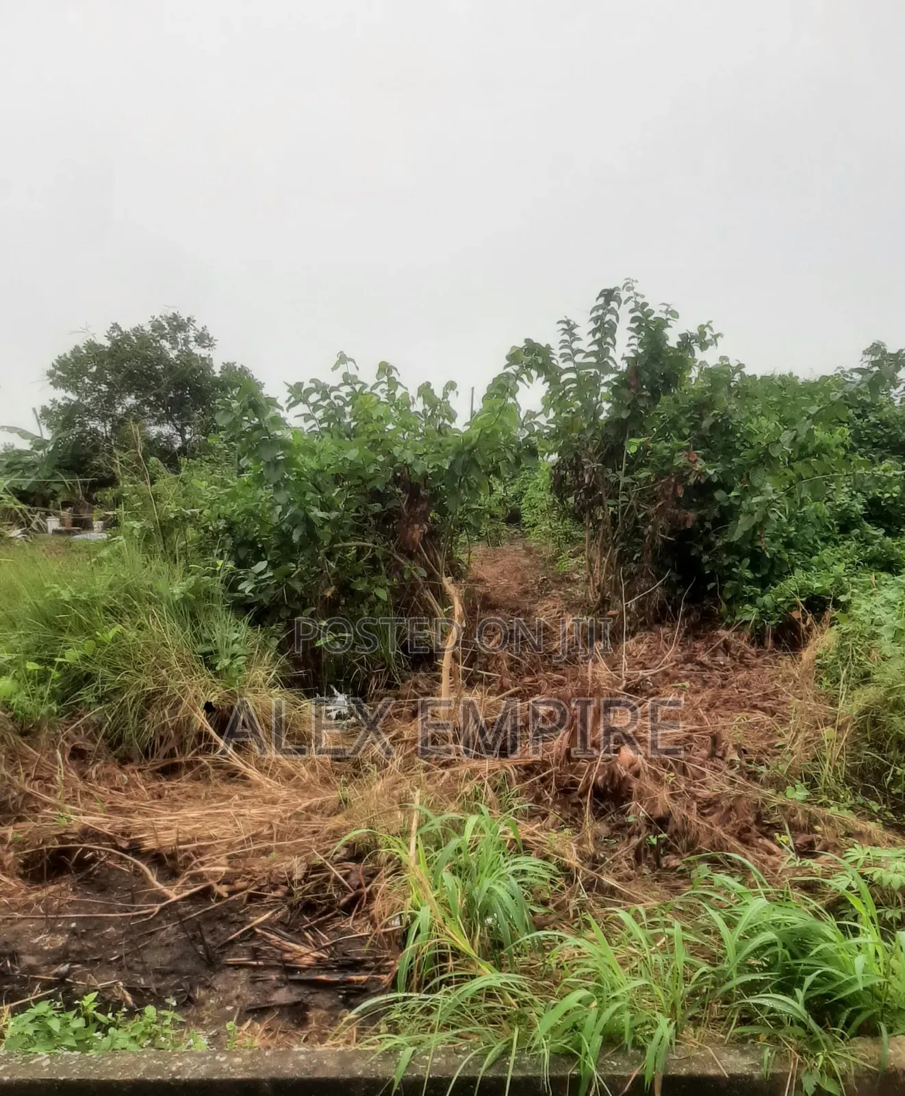 Land for Sale in Lekki
