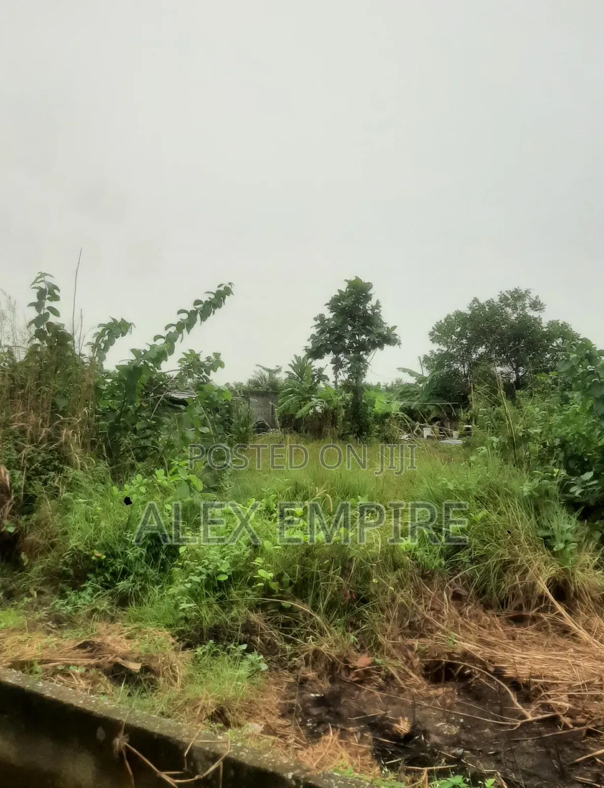 Land for Sale in Lekki
