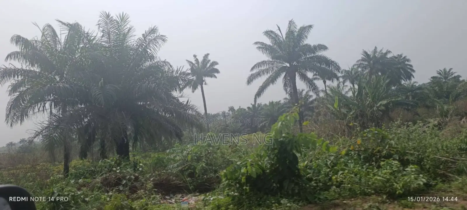 Half Plot of Land for Sale in Akobo-Ojurin