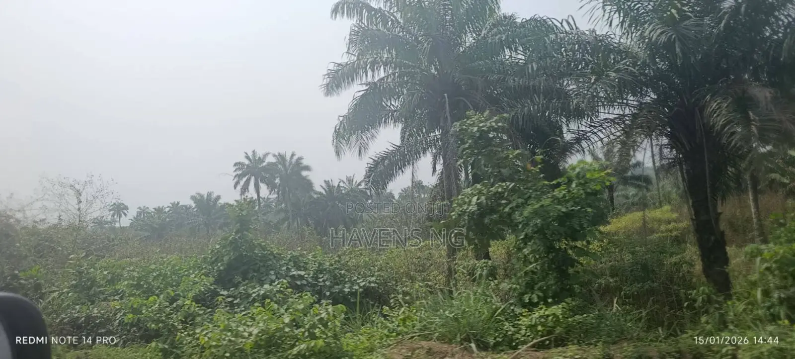 Half Plot of Land for Sale in Akobo-Ojurin