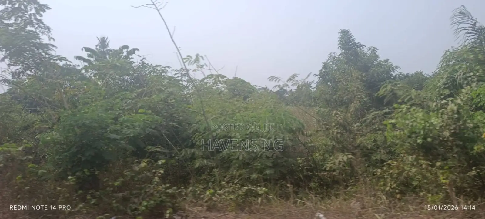 Half Plot of Land for Sale in Olorunda