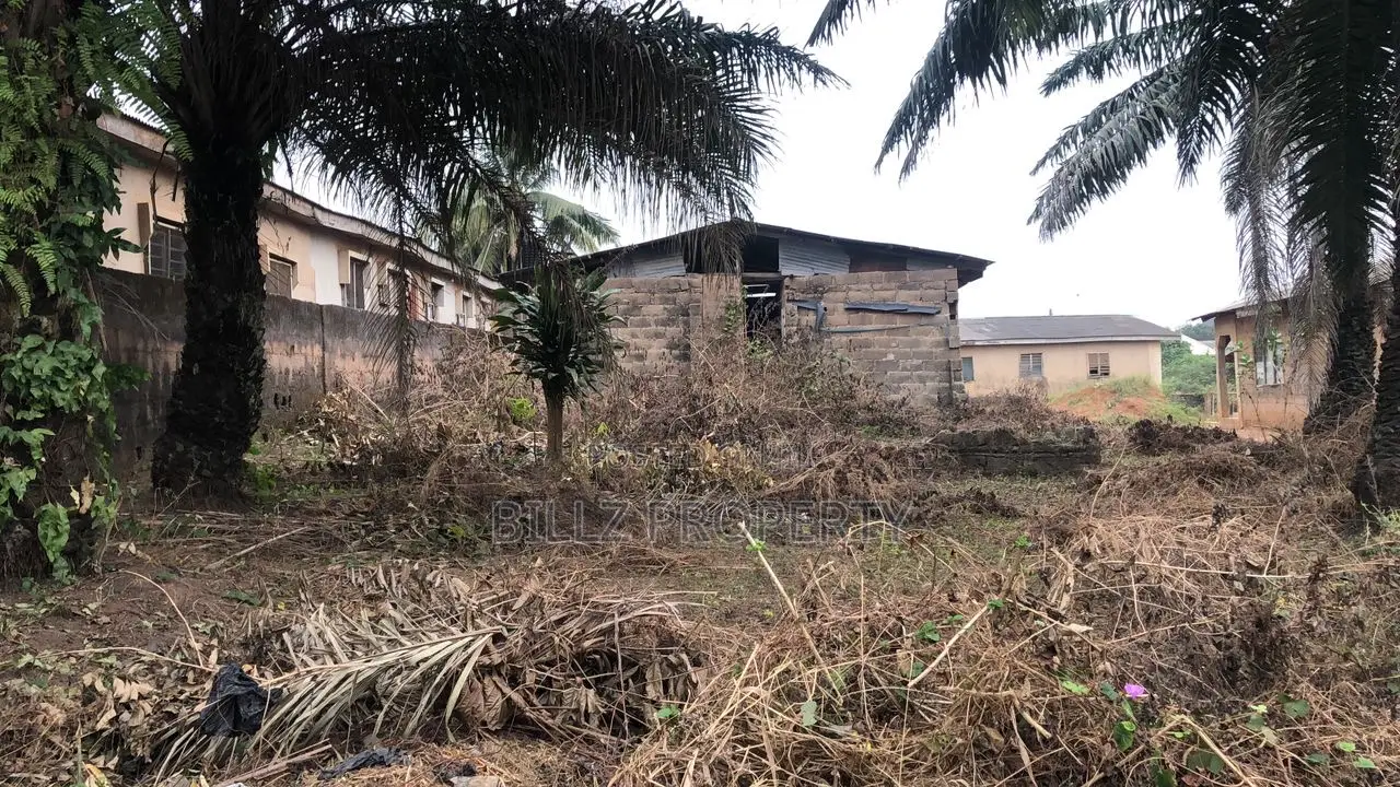 A Tenement 4 Rums Uncompltd on a Full Plot of Land in a Good Environmt