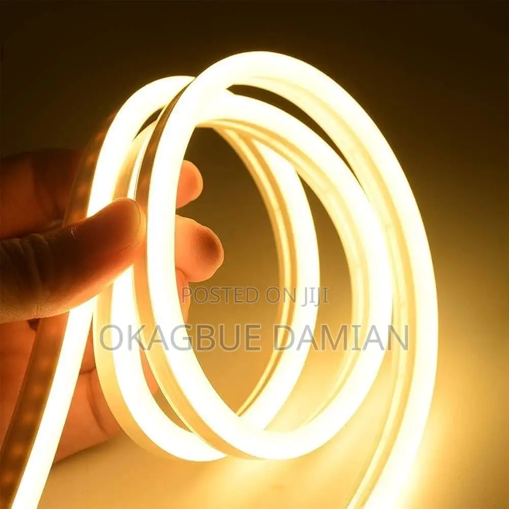 Neon Flexible Strip Lights