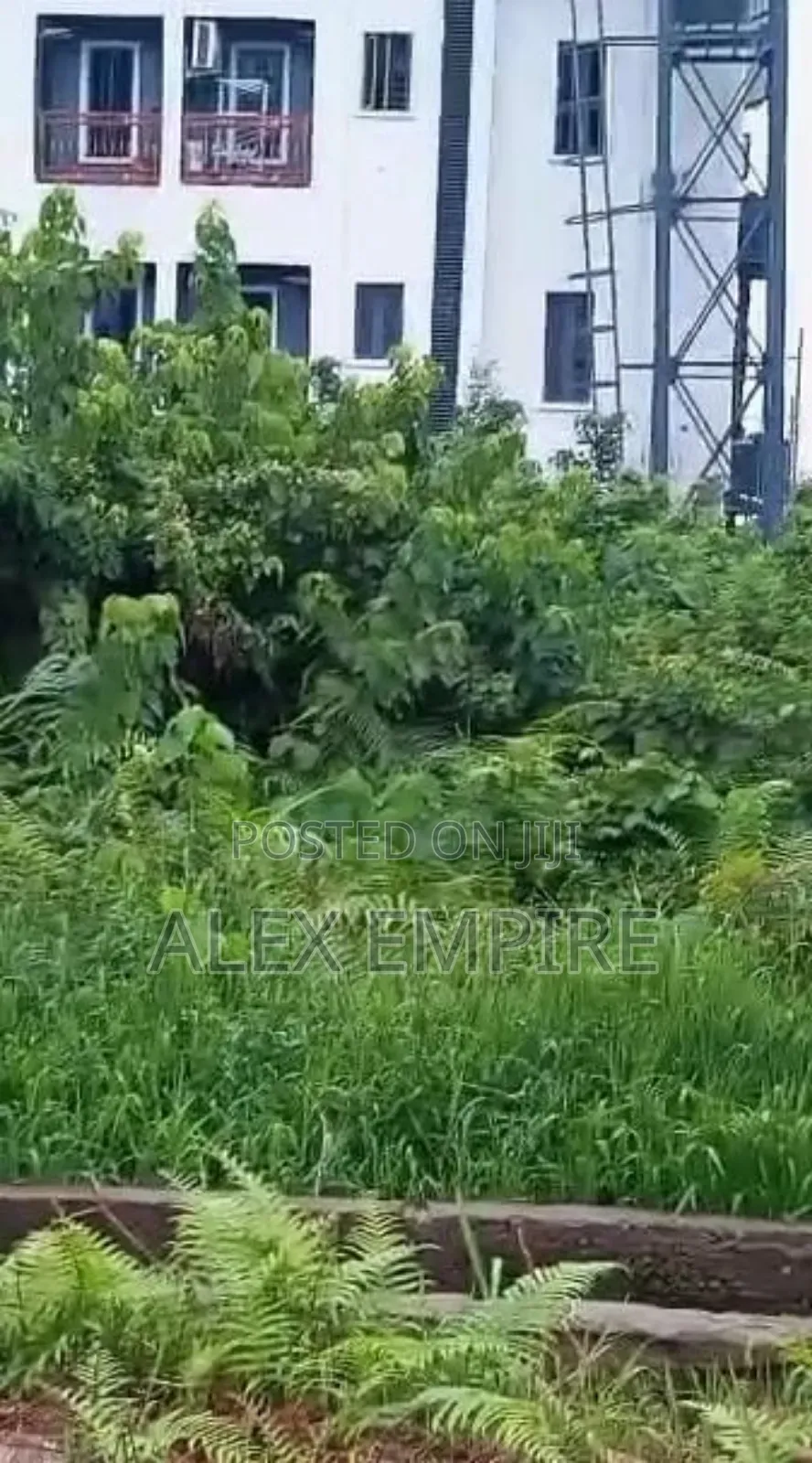 Half Plot of Land in Ago