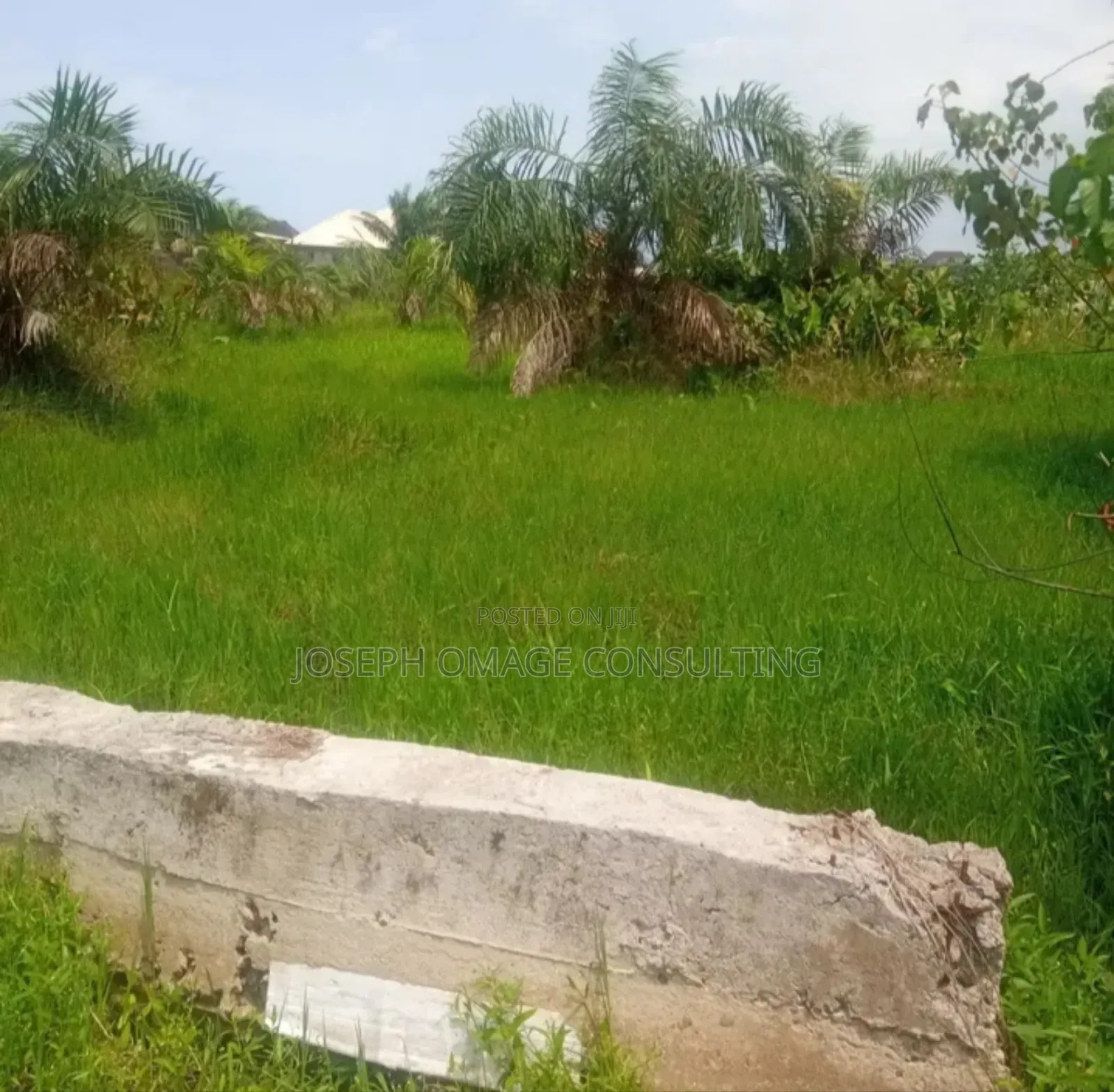 One Plot Plus for Sale