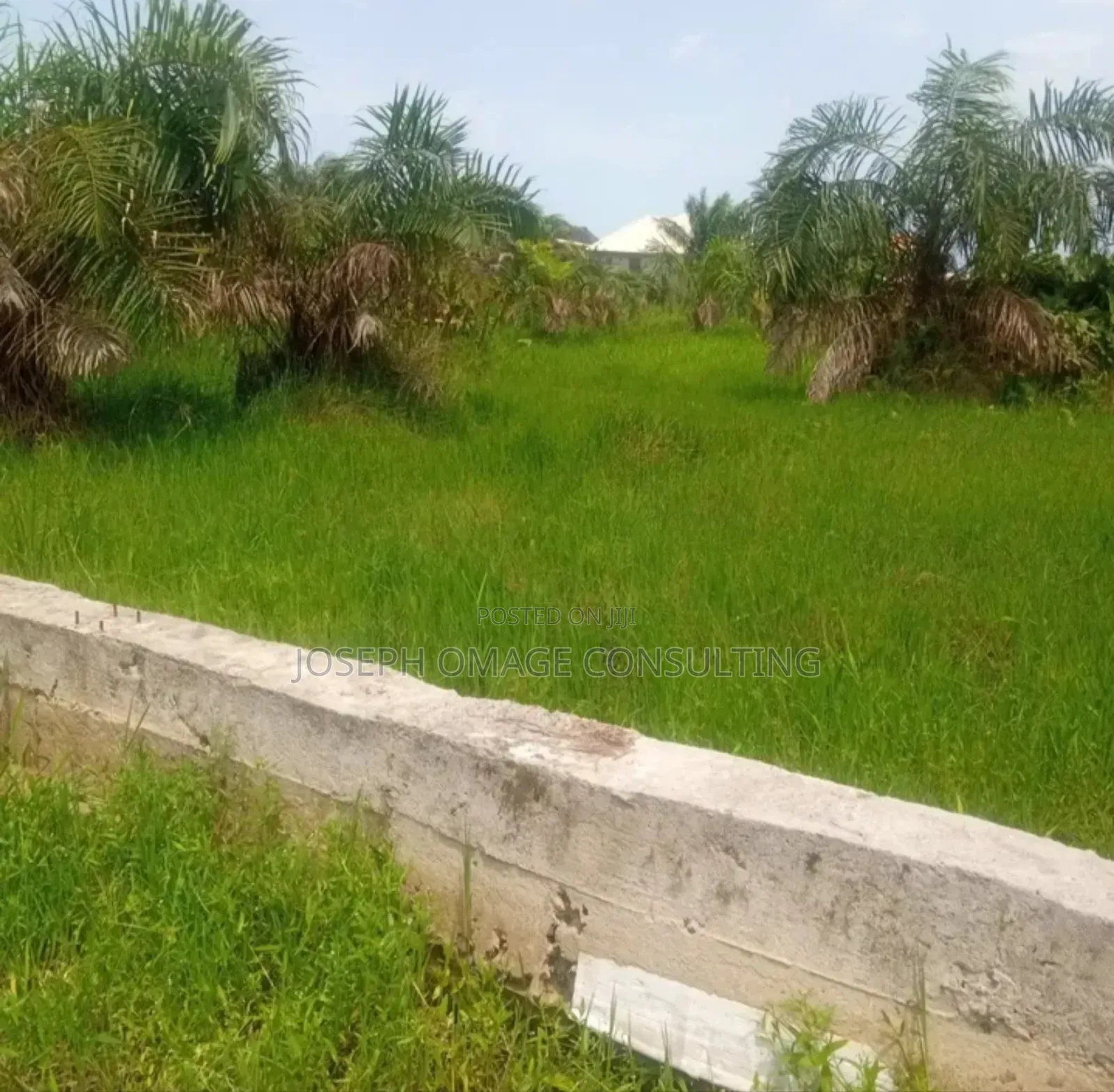 One Plot Plus for Sale