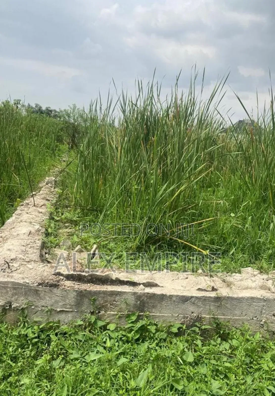 Land for Sale in Banana Island