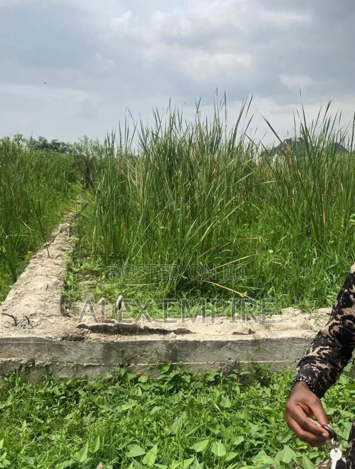 Land for Sale in Banana Island