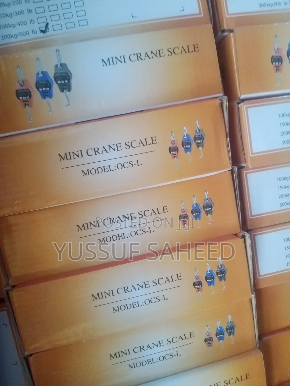Mini Crane Scale 300kg