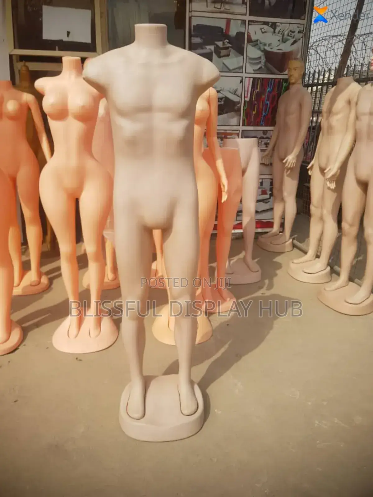 Male Mannequin